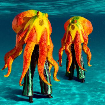 Cali & Mari the Octopuses
